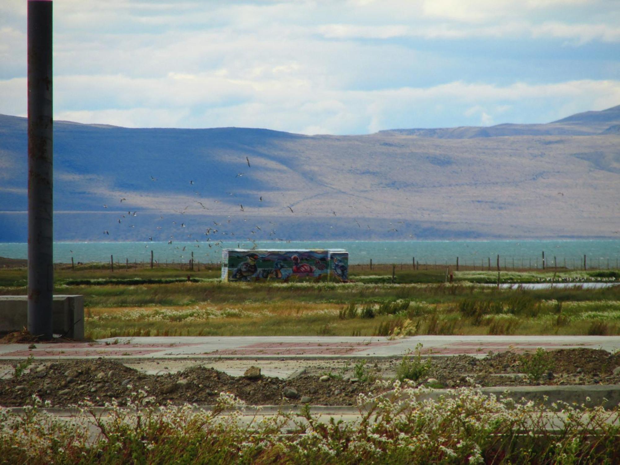 Hostel Aves Del Lago El Calafate Extérieur photo